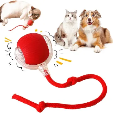 6901caa1aaedc0a92e9c4834360234ef.jpg_360x360q75.jpg_ Interactive Cat Toys